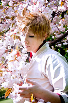 Roxas - Cherry Blossom