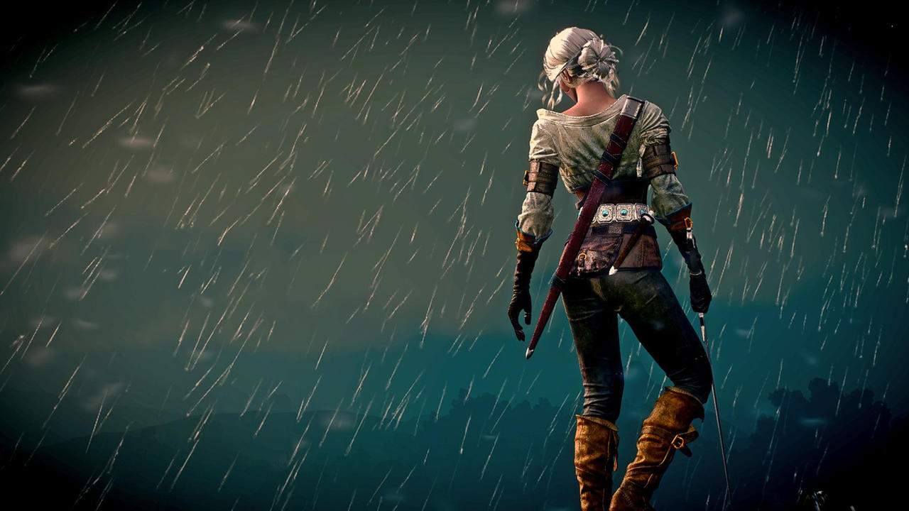 The Witcher 3 by ElizaCassan on DeviantArt