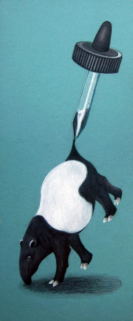 Tapir by Azealand