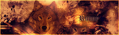 Wolf Signature