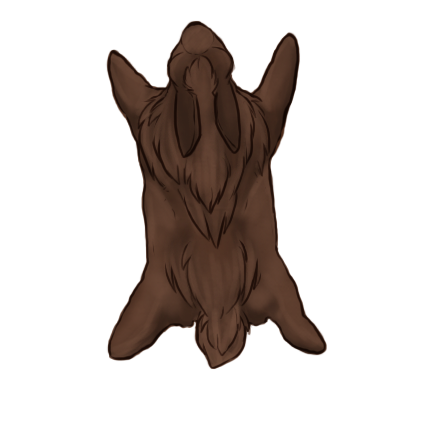 Brown Rabbit Deviantart Rabbit: Brown by ZoAdmin on DeviantArt