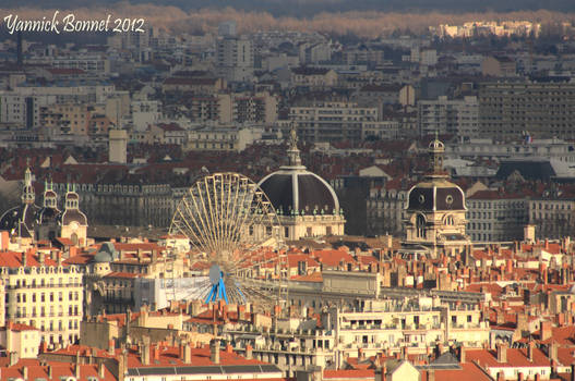 Wheel in the city