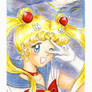 Sailor Moon - bookmark