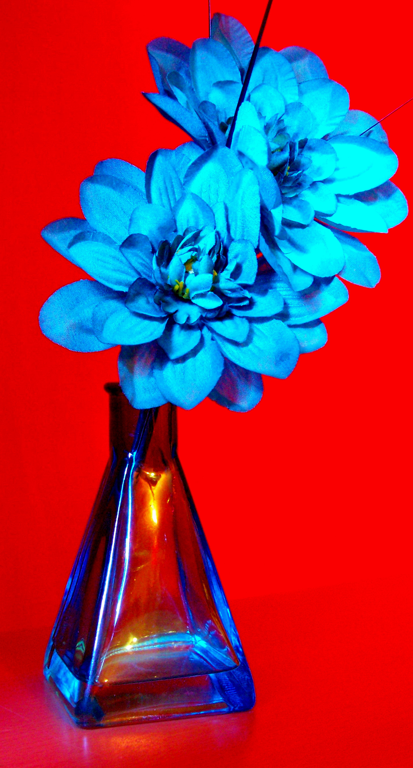 Bright blue flower.