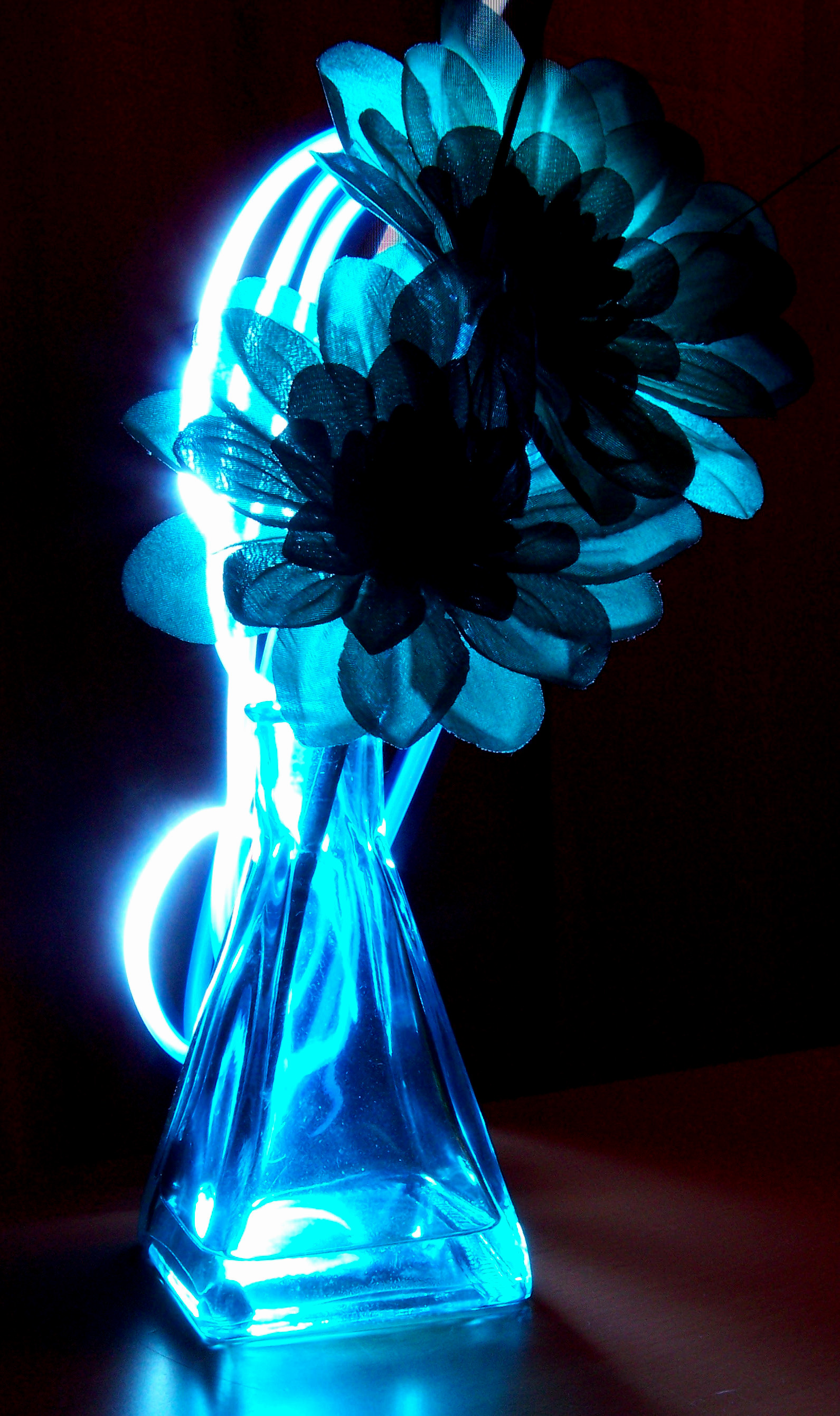 Blue light flower.