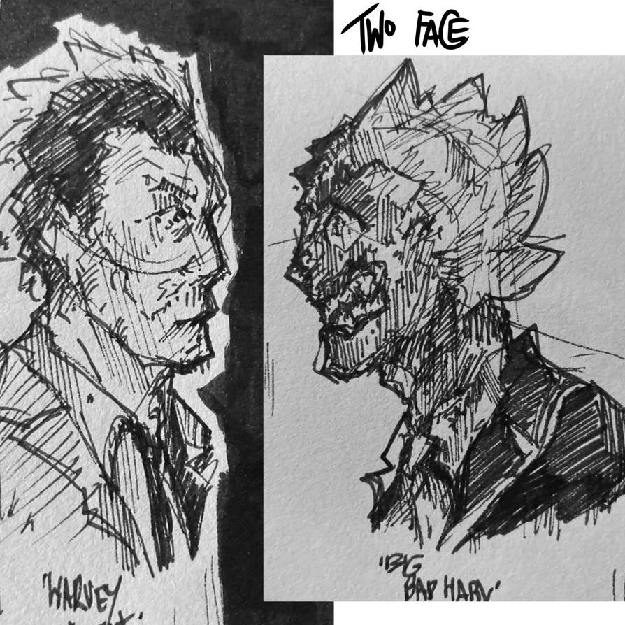 Two Face Concept by diredirts on DeviantArt