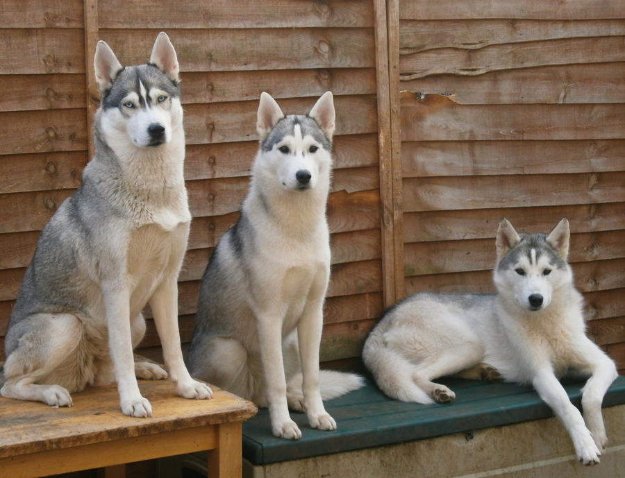 Mum and Kids