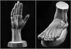 Hand and Foot Planes study