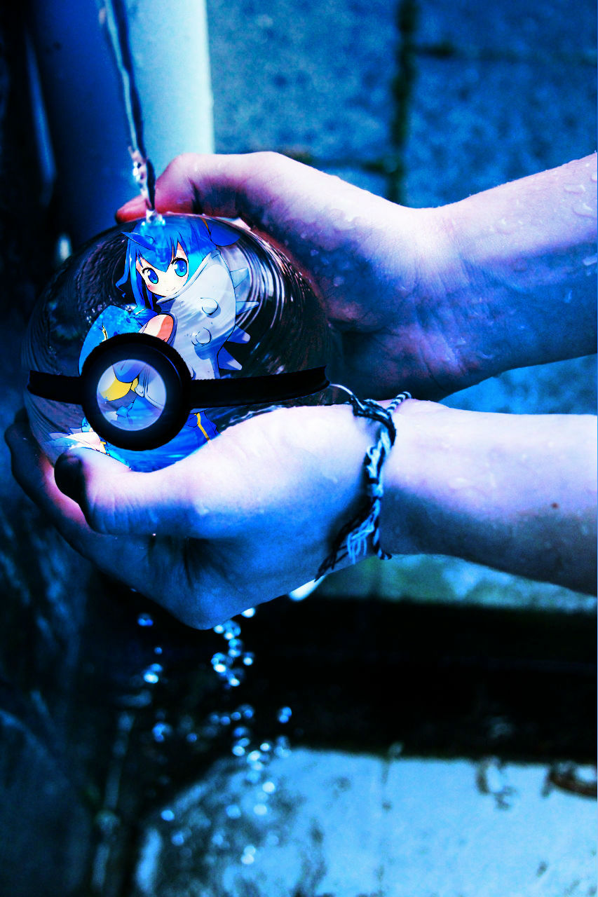 Lapra's Pokeball