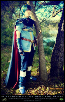 Exiled - Prince Marth Cosplay