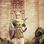 Link - The Legend of Zelda: Twilight Princess