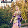 Hyrule Warriors Zelda