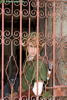 Twilight Princess Link