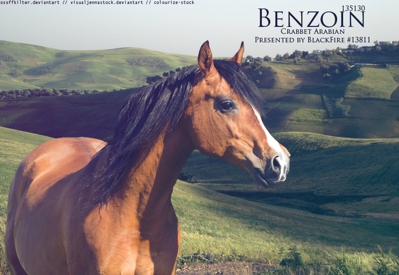 benzoin