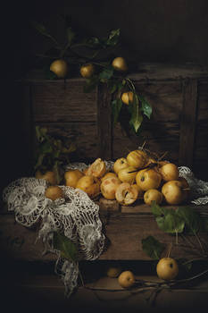 Still life with apples