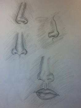 Drawing Practice: Noses