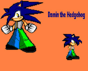 Damin the Hedgehog