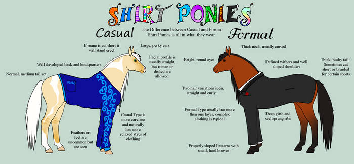 Shirt Pony Breedsheet