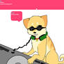 Ask 15, DJ Shibe