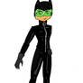 Catwoman Update