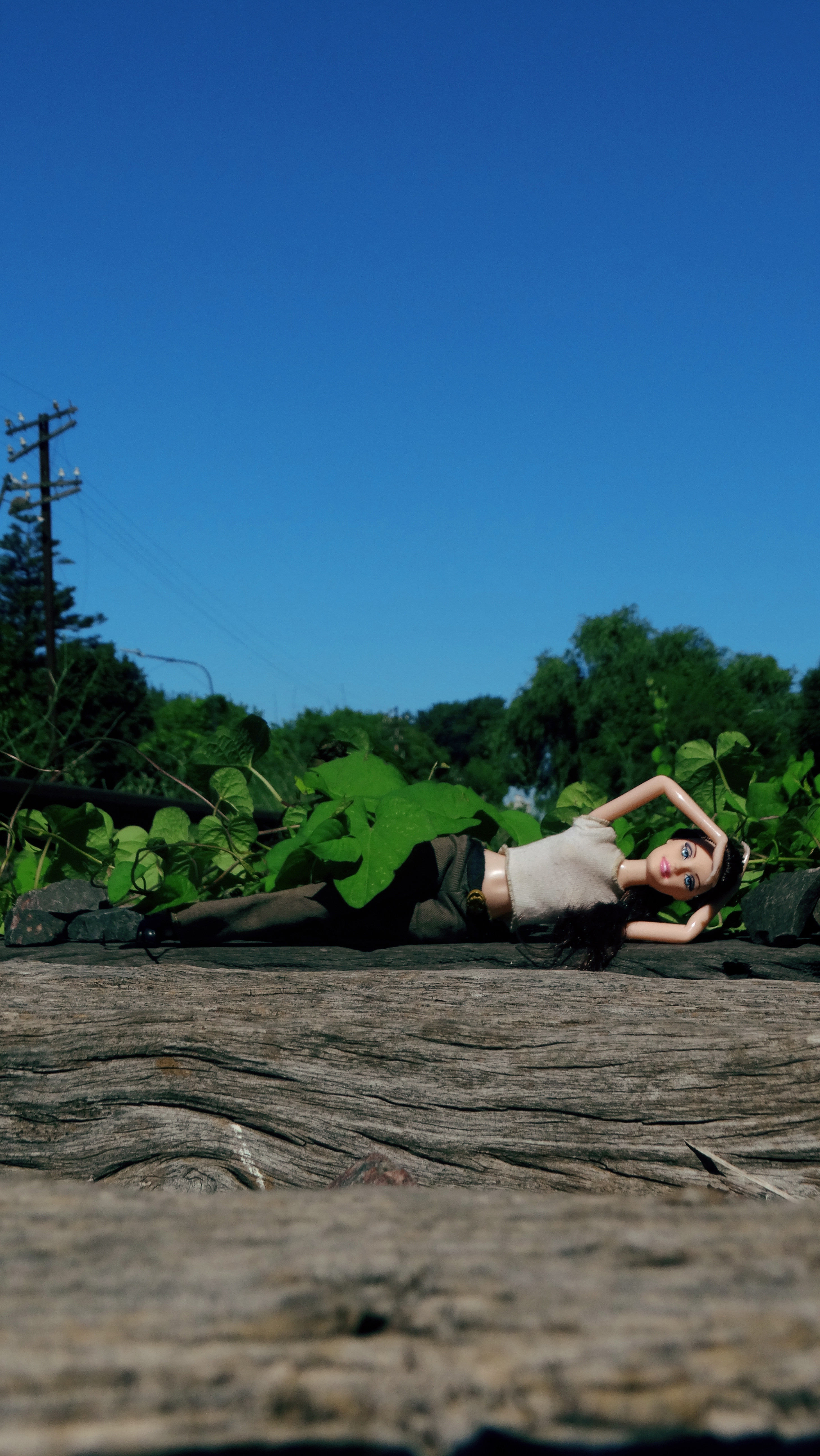 Relaxing nature~