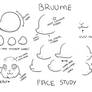 Bruume face study