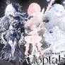 (OCT 2026 slot auction) ADOPTABLE CUSTOM