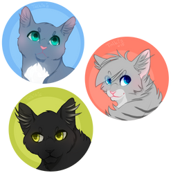 Cat headshots