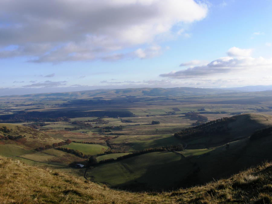 View From The Top