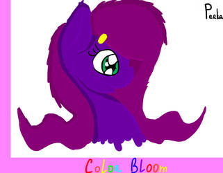 Color Bloom The Pony