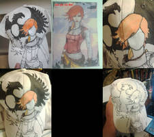 Borderlands 2 The Firehawk hat progress.