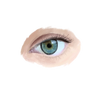 An eye study