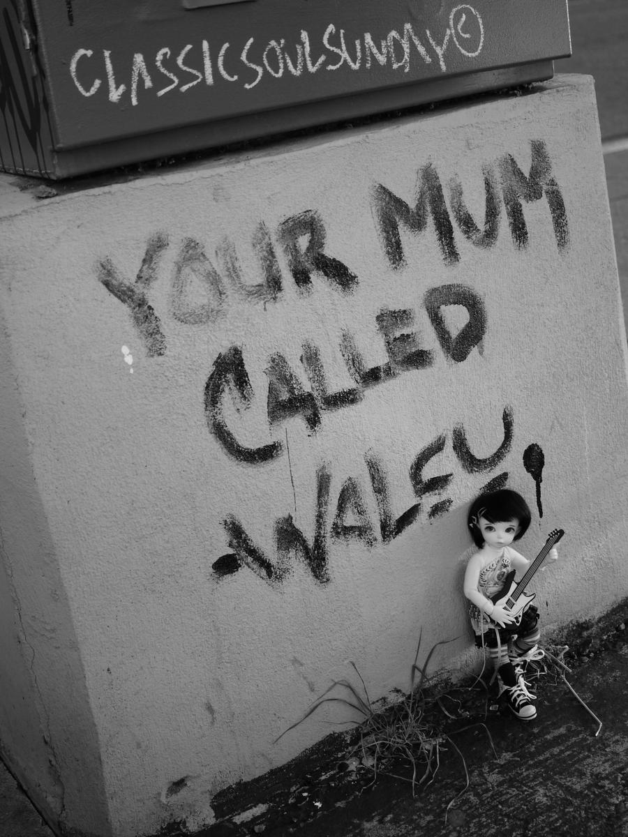 Your Mum Called...love Waley