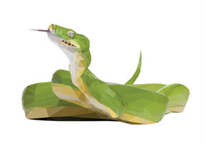 Snake - GEO