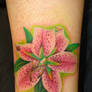 lily tattoo 3