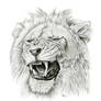 roaring lion