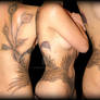 Phoenix Tattoo 2