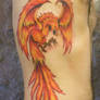 Color Phoenix