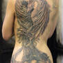 Phoenix 5