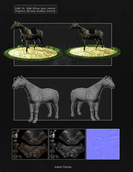 Horse Model