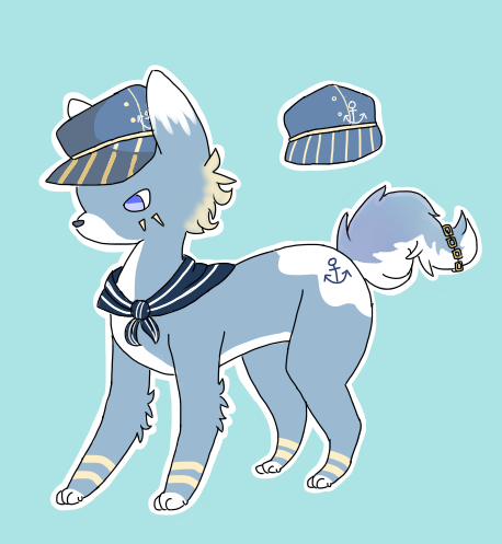 Sailor Dog