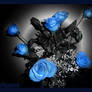 blue roses