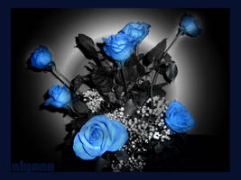 blue roses