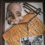 Vampire Shadowbox