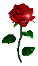 67 by MagicalFlowerBomb 67 by MagicalFlowerBomb
