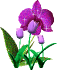 Smile-32- by MagicalFlowerBomb Smile-32- by MagicalFlowerBomb