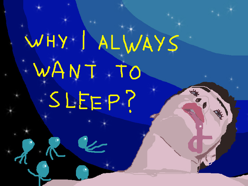 why i always want to sleep