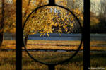 Autumn colors 14 by gamebalance