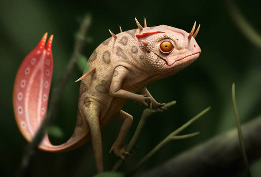 Pygmy Basilisk