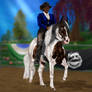 Gaited Show - WPH Starlights Tuff Cat